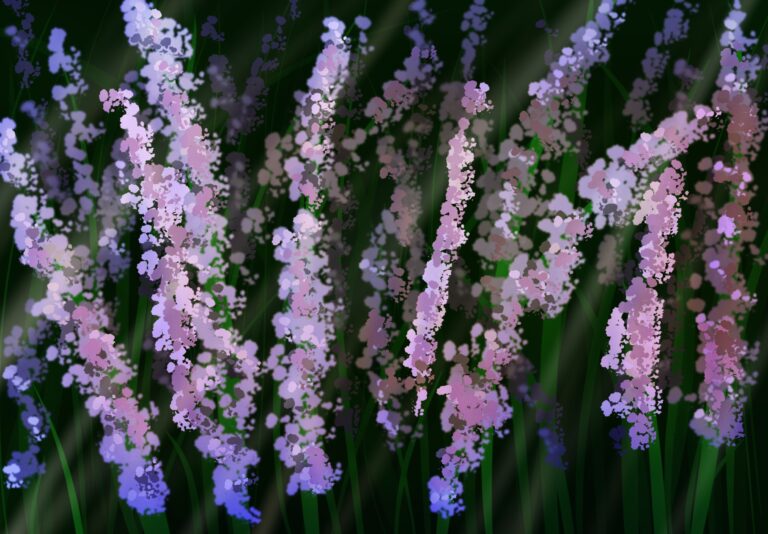 Lavender Daydream